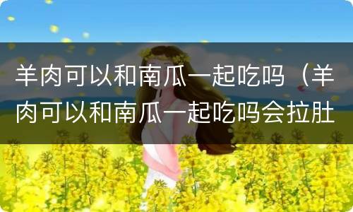 羊肉可以和南瓜一起吃吗（羊肉可以和南瓜一起吃吗会拉肚子吗）