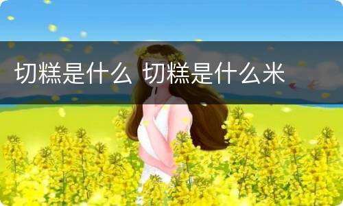 切糕是什么 切糕是什么米
