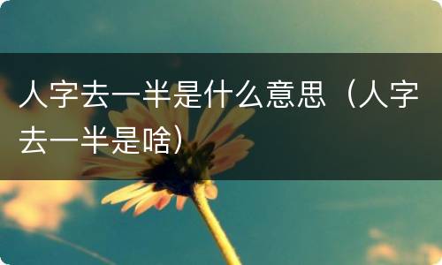 人字去一半是什么意思（人字去一半是啥）