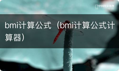 bmi计算公式（bmi计算公式计算器）