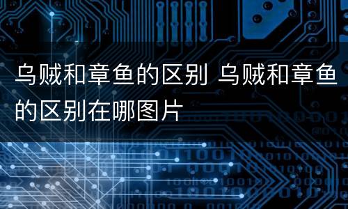 乌贼和章鱼的区别 乌贼和章鱼的区别在哪图片