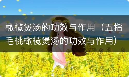 橄榄煲汤的功效与作用（五指毛桃橄榄煲汤的功效与作用）