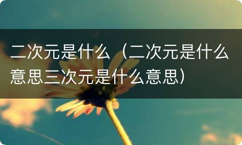 二次元是什么（二次元是什么意思三次元是什么意思）
