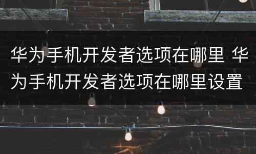 华为手机开发者选项在哪里 华为手机开发者选项在哪里设置