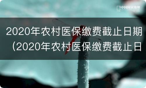 2020年农村医保缴费截止日期（2020年农村医保缴费截止日期安徽省）