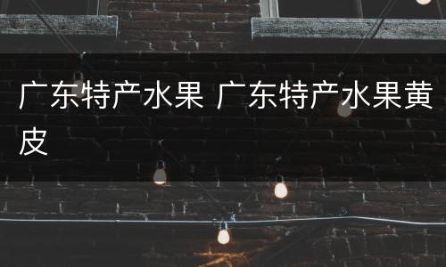 广东特产水果 广东特产水果黄皮