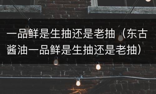 一品鲜是生抽还是老抽（东古酱油一品鲜是生抽还是老抽）