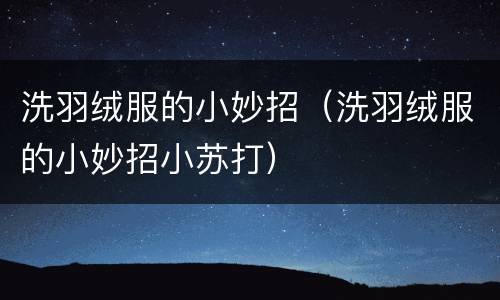 洗羽绒服的小妙招（洗羽绒服的小妙招小苏打）