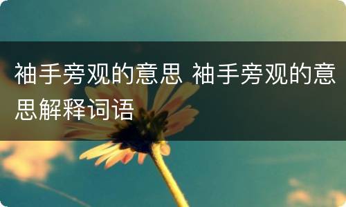 袖手旁观的意思 袖手旁观的意思解释词语