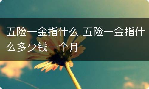 五险一金指什么 五险一金指什么多少钱一个月