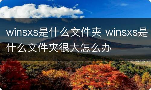 winsxs是什么文件夹 winsxs是什么文件夹很大怎么办