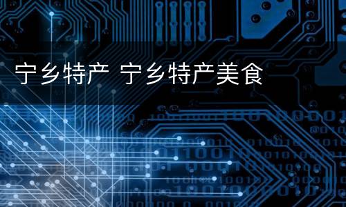 宁乡特产 宁乡特产美食