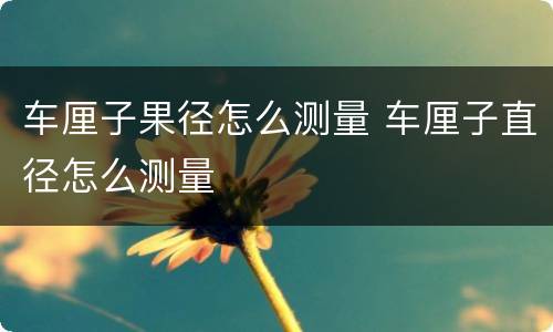 车厘子果径怎么测量 车厘子直径怎么测量