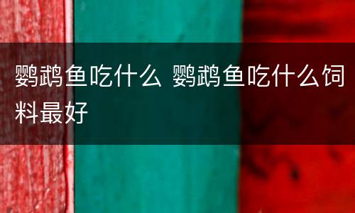 鹦鹉鱼吃什么 鹦鹉鱼吃什么饲料最好