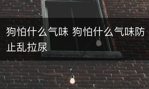 狗怕什么气味 狗怕什么气味防止乱拉尿