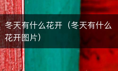 冬天有什么花开（冬天有什么花开图片）