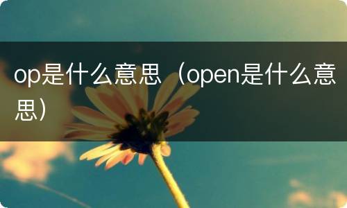 op是什么意思（open是什么意思）