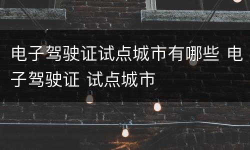 电子驾驶证试点城市有哪些 电子驾驶证 试点城市