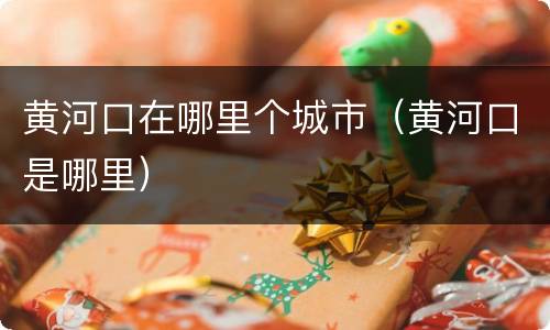 黄河口在哪里个城市（黄河口是哪里）