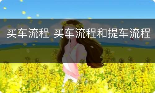 买车流程 买车流程和提车流程