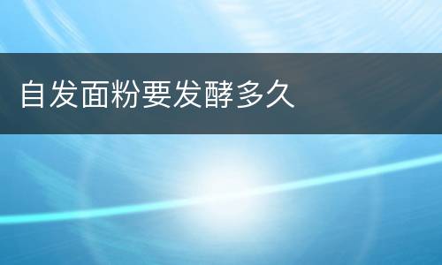 自发面粉要发酵多久