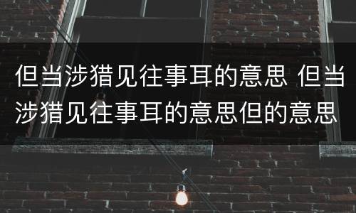 但当涉猎见往事耳的意思 但当涉猎见往事耳的意思但的意思