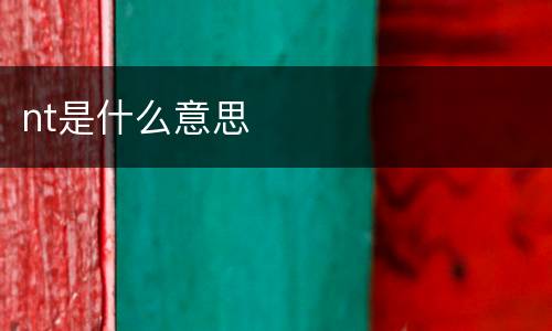 nt是什么意思