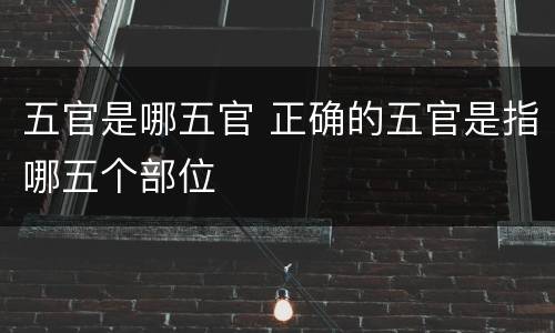 五官是哪五官 正确的五官是指哪五个部位