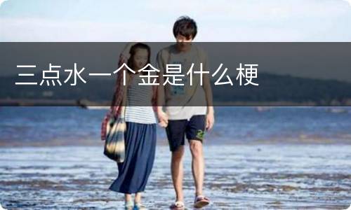 三点水一个金是什么梗