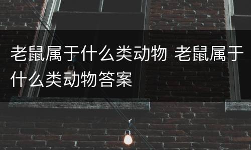 老鼠属于什么类动物 老鼠属于什么类动物答案