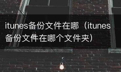 itunes备份文件在哪（itunes备份文件在哪个文件夹）