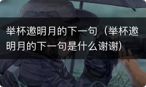 举杯邀明月的下一句（举杯邀明月的下一句是什么谢谢）