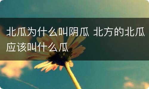 北瓜为什么叫阴瓜 北方的北瓜应该叫什么瓜