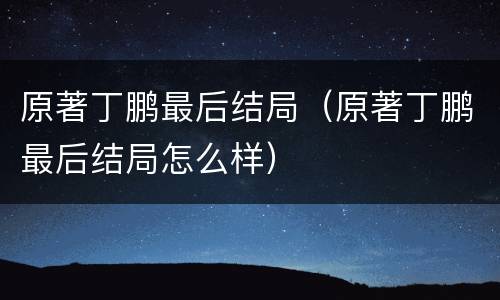 原著丁鹏最后结局（原著丁鹏最后结局怎么样）