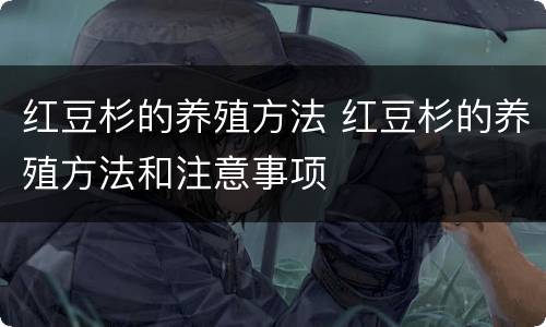 红豆杉的养殖方法 红豆杉的养殖方法和注意事项