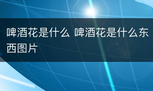 啤酒花是什么 啤酒花是什么东西图片