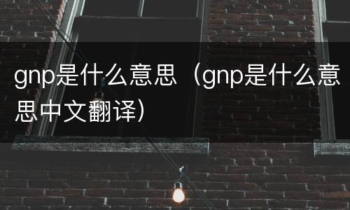 gnp是什么意思（gnp是什么意思中文翻译）