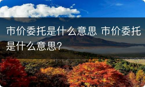 市价委托是什么意思 市价委托是什么意思?