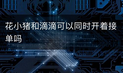 花小猪和滴滴可以同时开着接单吗