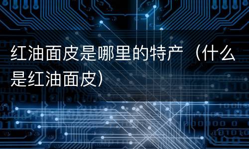 红油面皮是哪里的特产（什么是红油面皮）