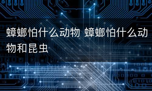 蟑螂怕什么动物 蟑螂怕什么动物和昆虫