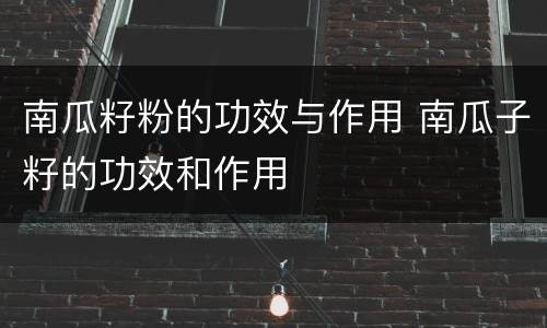 南瓜籽粉的功效与作用 南瓜子籽的功效和作用