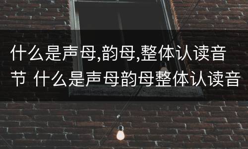 什么是声母,韵母,整体认读音节 什么是声母韵母整体认读音节
