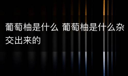 葡萄柚是什么 葡萄柚是什么杂交出来的