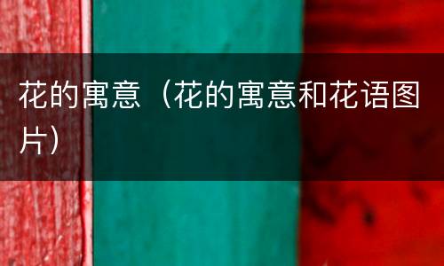 花的寓意（花的寓意和花语图片）