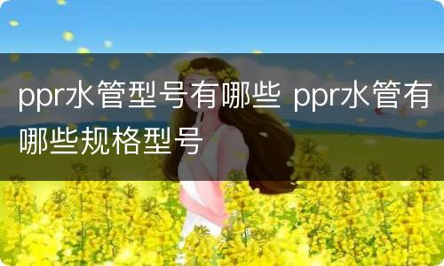 ppr水管型号有哪些 ppr水管有哪些规格型号
