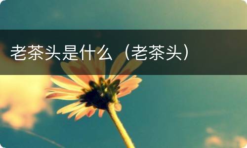 老茶头是什么（老茶头）