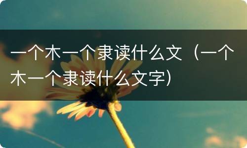 一个木一个隶读什么文（一个木一个隶读什么文字）