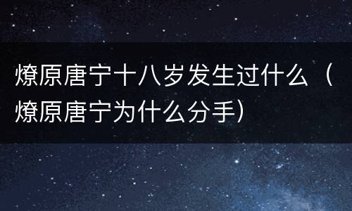燎原唐宁十八岁发生过什么（燎原唐宁为什么分手）