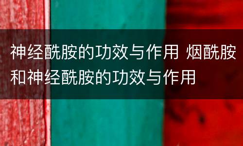 神经酰胺的功效与作用 烟酰胺和神经酰胺的功效与作用